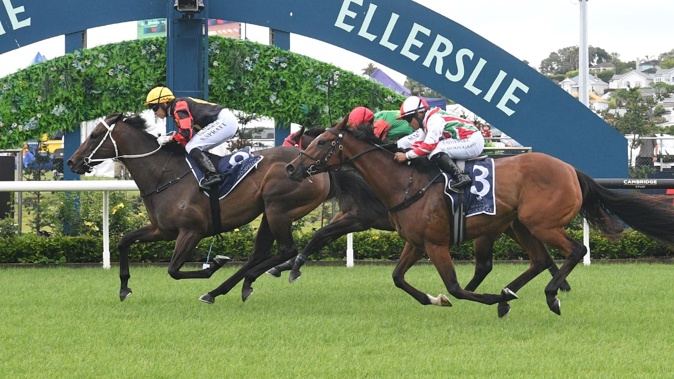 Exciting mare Provence winning the Westbury Stud Royal Descent Stakes (1400m) at Ellerslie on Boxing Day. Photo / Kenton Wright (Race Images)
