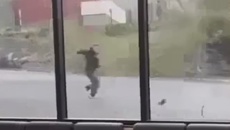Otago University students narrowly escape falling tree as 150km/h winds batter South Island