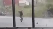 Watch: Students run for their lives as tree blown over in fierce winds