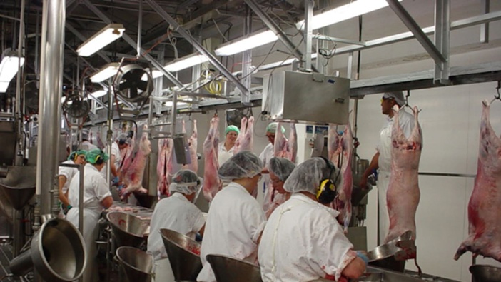 The Meatworkers Union says Alliance employs 660 workers at peak season at its Smithfield site in Timaru. Photo / File