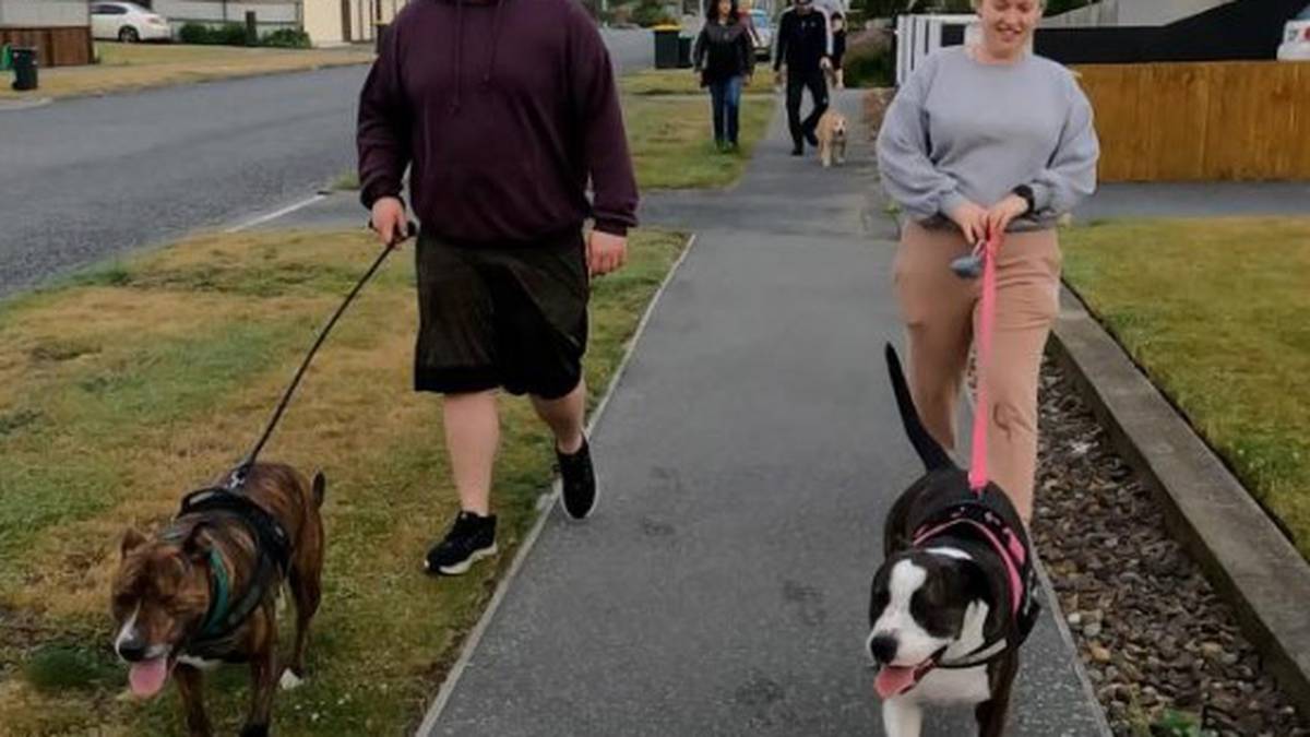 Christchurch dog walkers reclaim Bexley Reserve