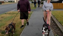 Christchurch dog walkers reclaim Bexley Reserve