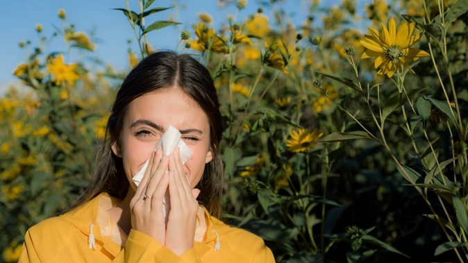 Hay fever sufferers around New Zealand say their condition is worse than ever as warm, windy conditions have stirred up pollen levels. Photo / 123rf