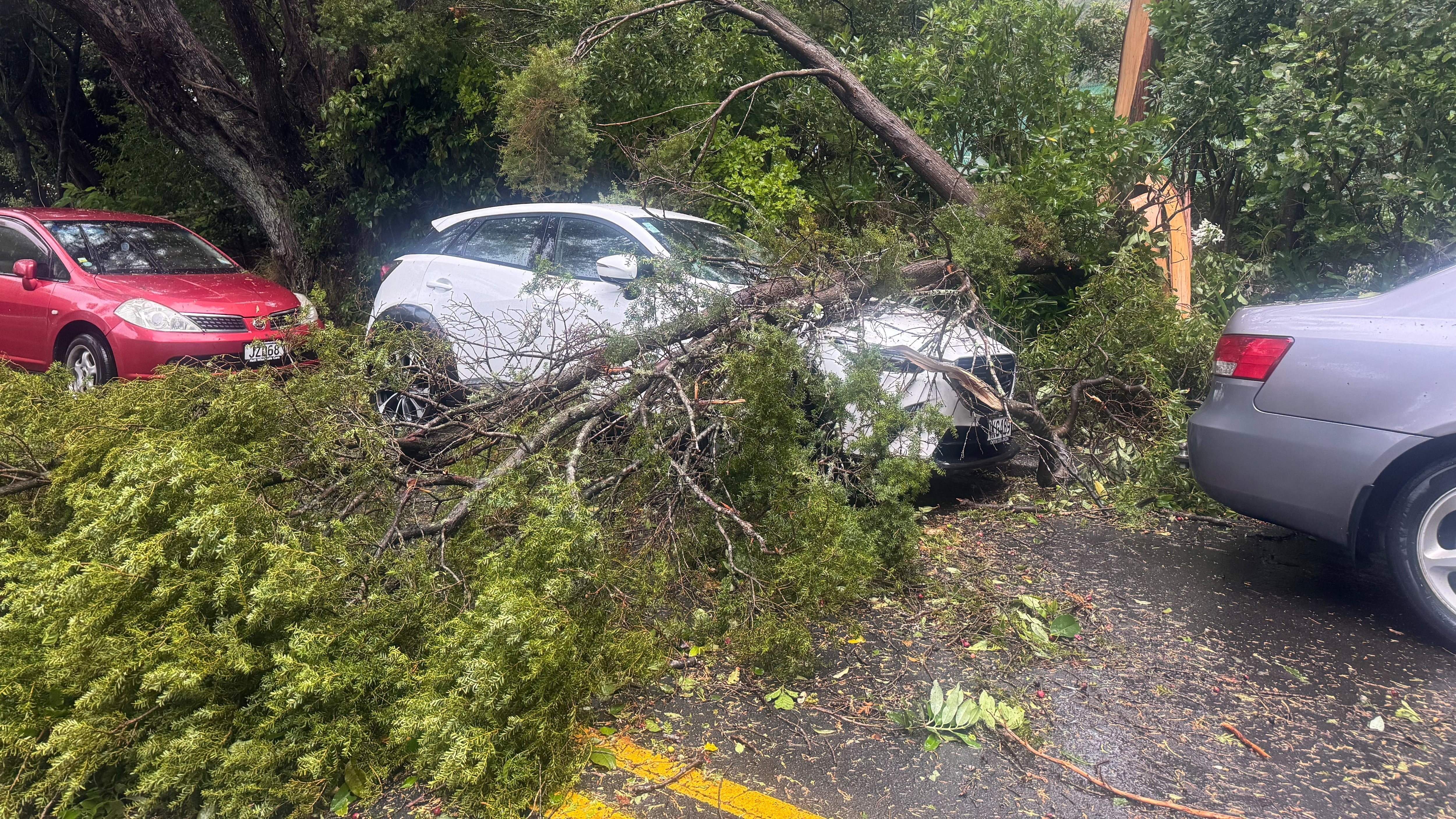 Storm leaves 17,000 without power as Air NZ flights in and out of Wellington paused