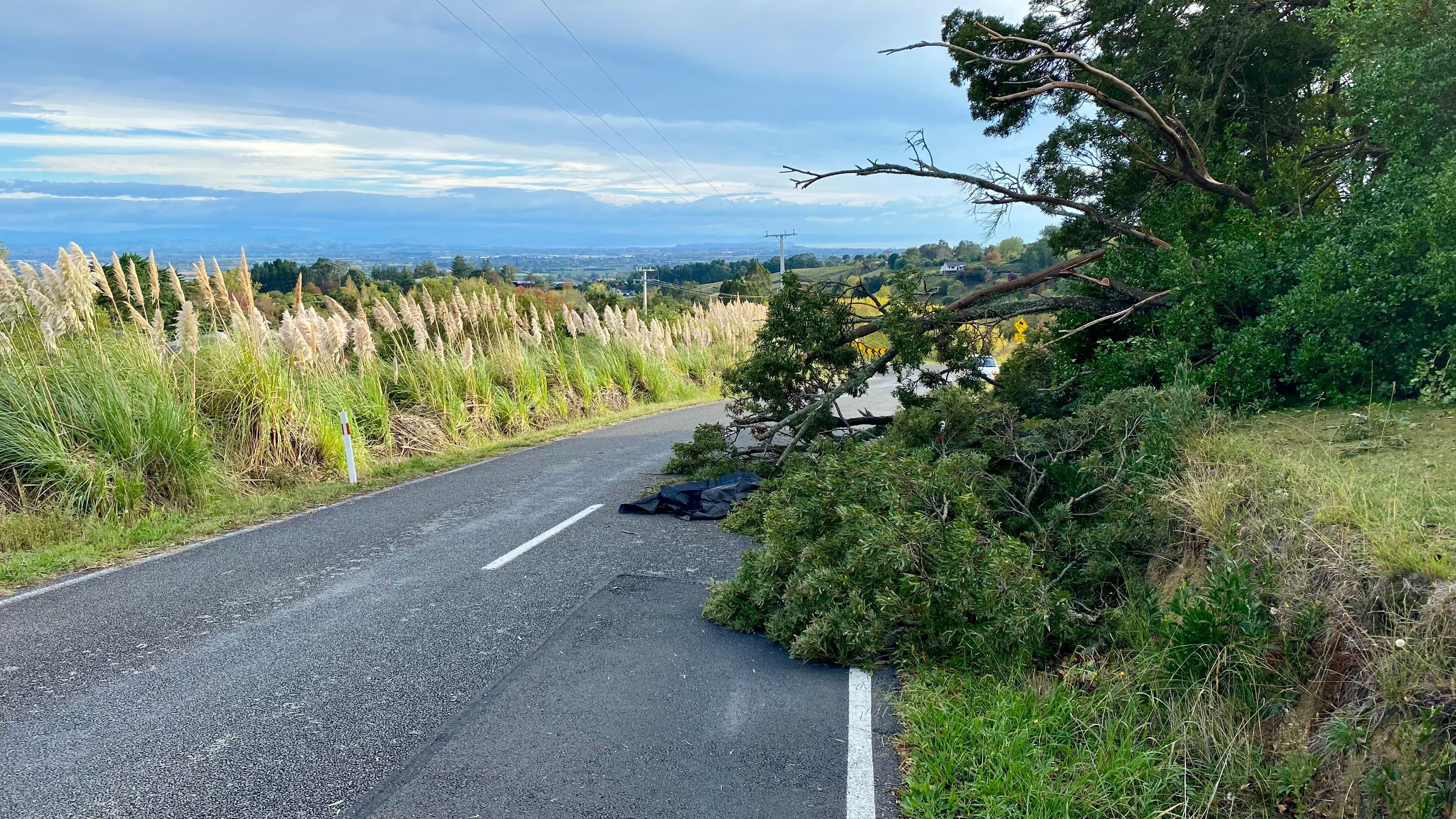 Perspective with Heather du Plessis-Allan: Does our news just have the wrong priorities?