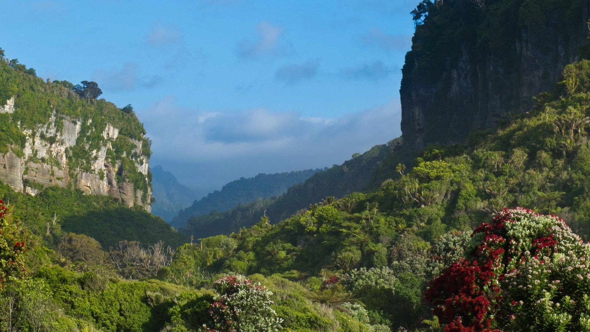 The body of a 27-year-old woman found near Fox River, on the West Coast, is believed to be that of a German national. Photo / 123RF