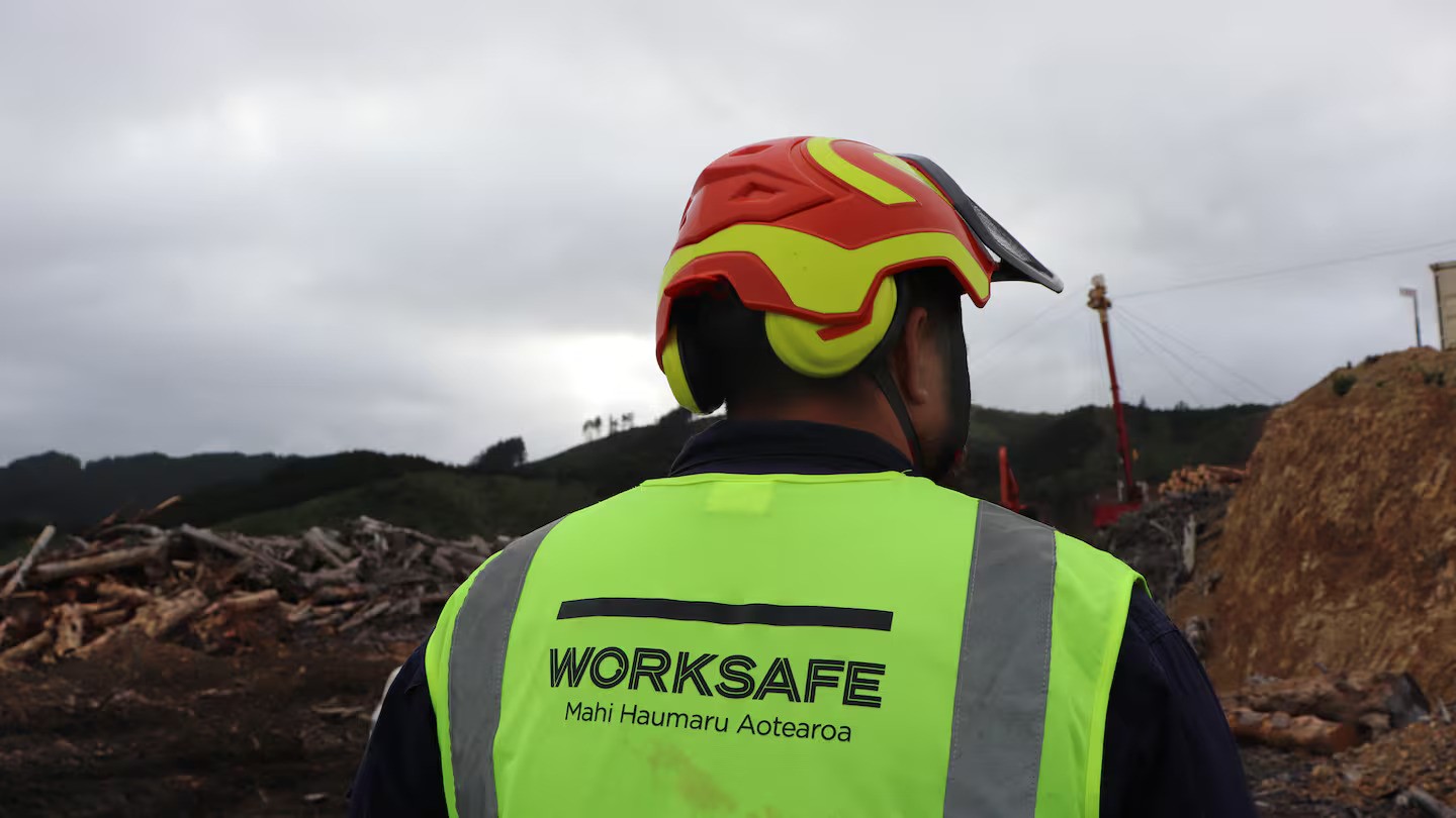 WorkSafe hopes its Approved Code of Practice will help reduce harm within the forestry industry. Photo / WorkSafe