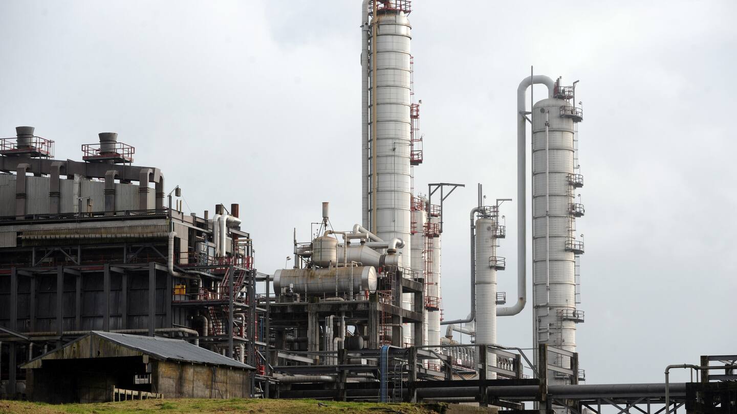  Photo / Ross Setford