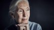 Dr Jane Goodall returns to New Zealand for first time in 5 years with Reasons for Hope tour