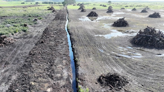 The Environment Court has ruled against New Zealand Watermelon Distributors Limited's Paul Martin Harvey for causing environmental damage to the Kaimaumau-Motutangi Wetland. Photo / Northland Regional Council