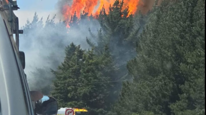 A series of fires along State Highway One near Burnham and Dunsandel south of Christchurch have broken out today. Photo / Supplied