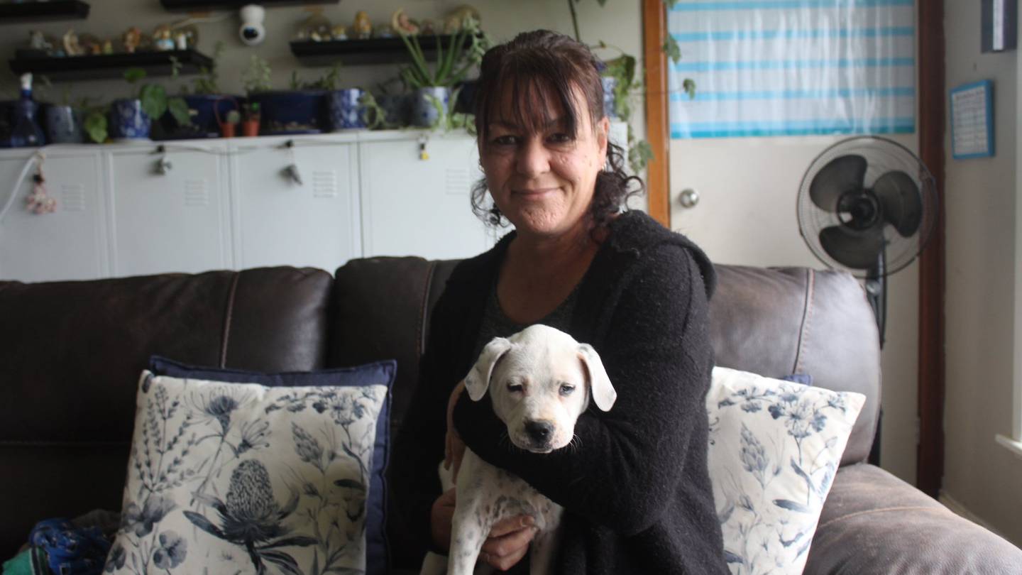 Furever Homes volunteer Loanna Messman, of Edendale, with an unnamed puppy from a litter which has been surrendered to the pet charity. (Photo / Ben Tomsett)