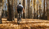 Autumn cycling in Wānaka. Photo / Wānaka NZ