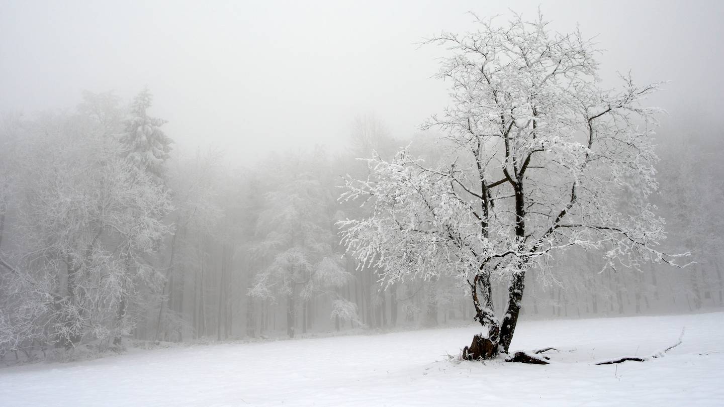 Dunedin's hill suburbs have now been included in MetService's forecast for snow on Tuesday morning. (Photo / File)