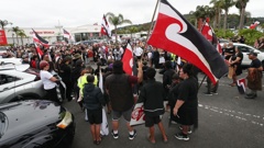 Protests have already occurred in response to some of the new Government's policies impacting Māori. Photo / Michael Cunningham