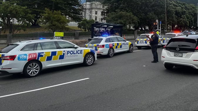 Dylan Anderson has been jailed for 12 months for his part in a fight outside the Wellington High Court in February. Photo / Ethan Griffiths