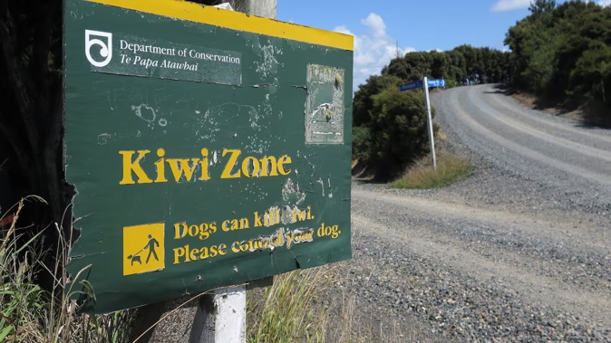A kiwi zone sign at the junction of Wharengaere Rd and Hansen Rd, near where six dead kiwi have been found since February. Photo / NZME