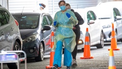 Nurses geared up at a Covid testing station in Wellington. Photo / Mark Mitchell