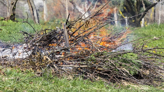 Orchadists are now allowed to burn prunings to clean up after Cyclone Gabrielle. Photo / Supplied