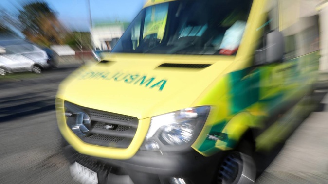 A Northland woman has been attacked and killed by a dog this afternoon. Photo / NZME