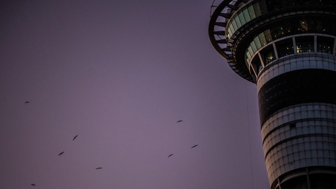 Cold clear dawn in Auckland. Photo / Michael Craig