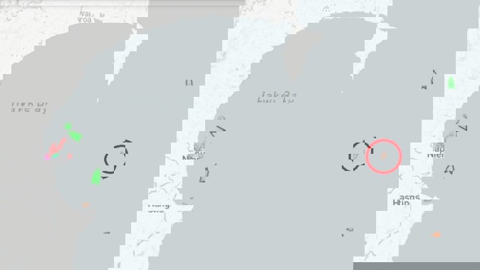 Amatal Apollo, a trawler pictured off the coast at 10pm on Wednesday. The Talley's trawler, a NZ Container vessel and a NZDF C-130 Hercules transferred a sailor in distress on Thursday morning. Graphic / MarineTraffic