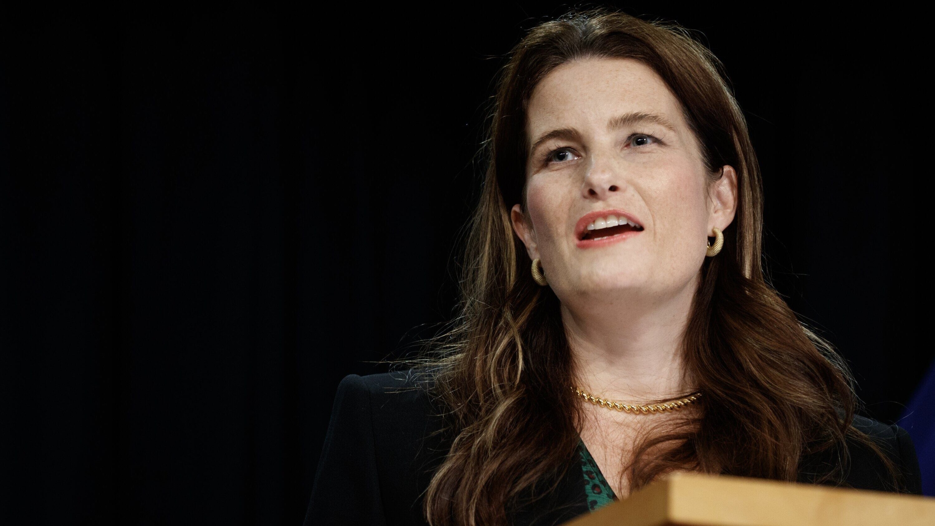 Finance Minister Nicola Willis. Photo / Mark Mitchell.