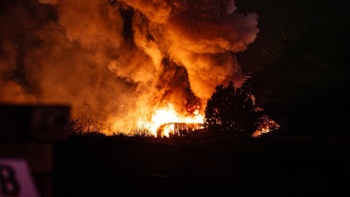 Dramatic images as West Auckland plant nursery goes up in flames