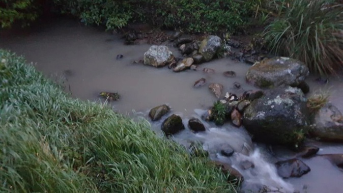 A Taranaki stream was polluted with sediment and silt after a farmer diverted the waterway. Photo/Taranaki Regional Council