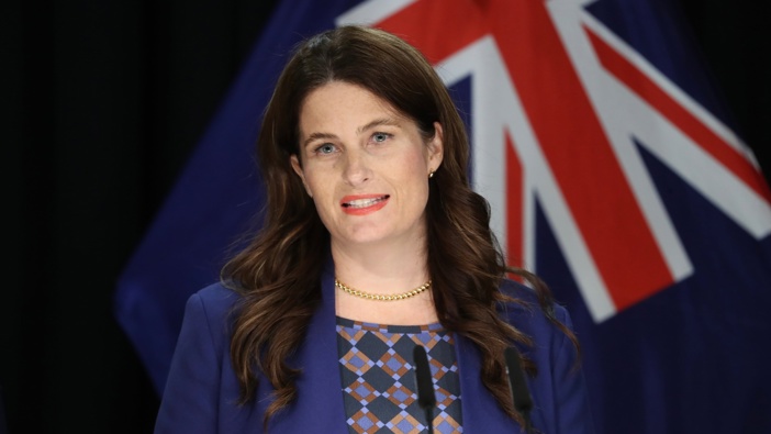 Finance Minister Nicola Willis. Photo / Mark Mitchell