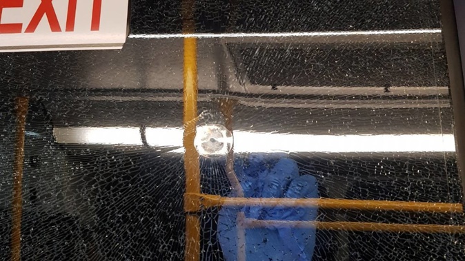 The damage from the pellet can clearly be seen. (Photo / Imgur)