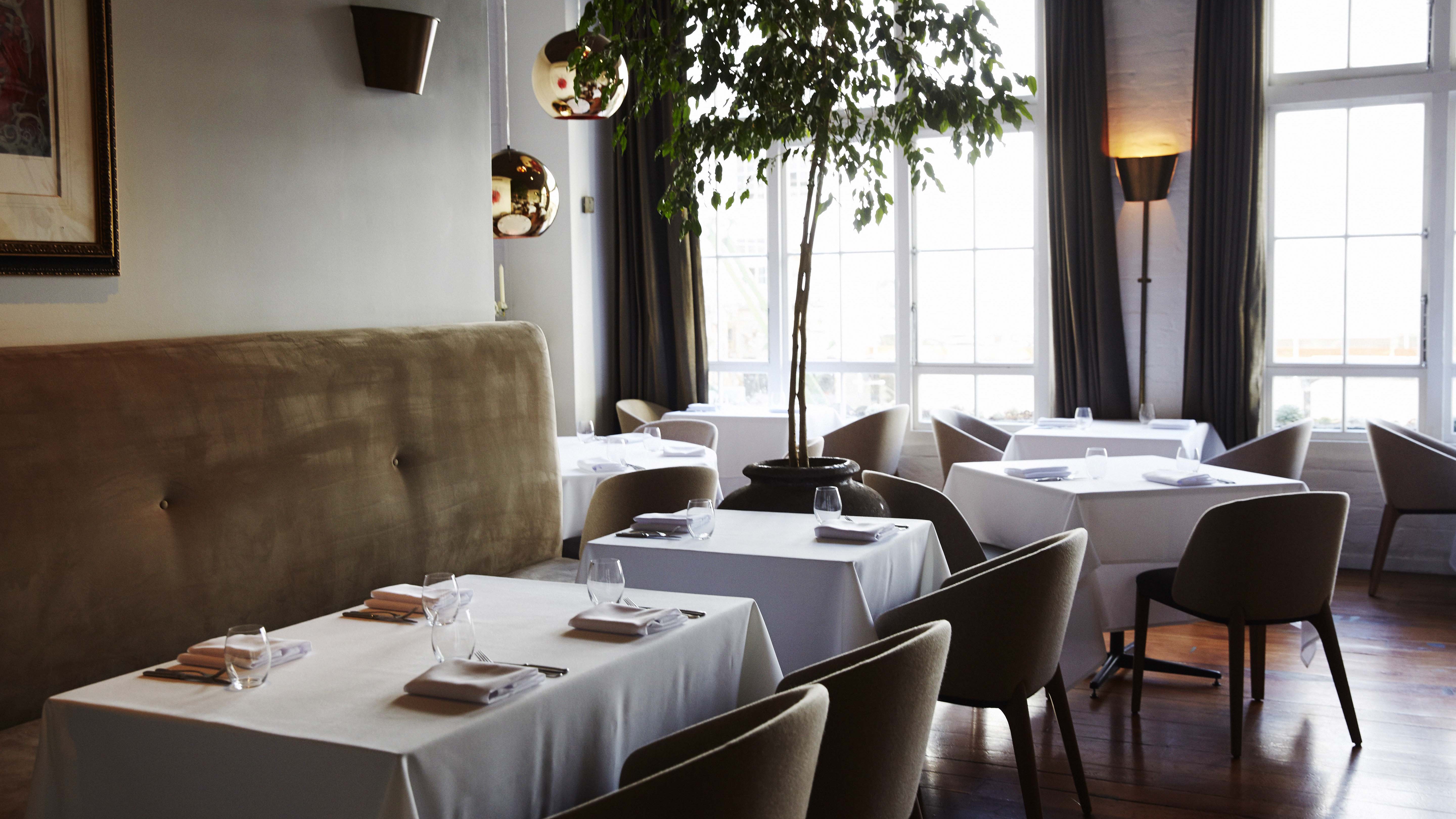 Photo / Rebecca Zephyr Thomas