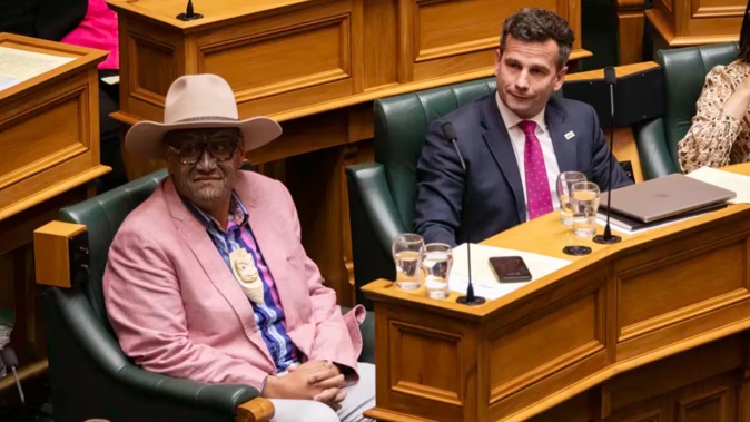 Both Act and Te Pāti Māori have had big gains. Photo / RNZ / Angus Dreaver