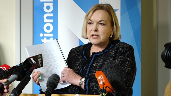 National Party leader Judith Collins is calling for the Auditor-General to investigate recent funding decisions. (Photo / Mark Mitchell)