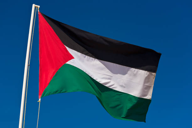 Palestinian Flag - stock photo