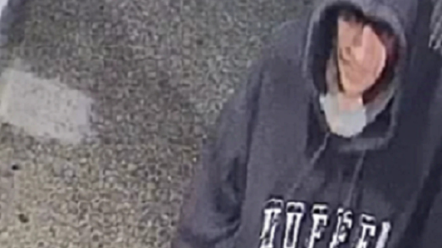 The alleged offender. Photo / Supplied