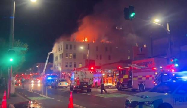 Image / Angelia Zhang