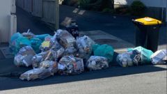 A pile of recycling waiting to be collected from Mount Victoria. (Photo / Vita Molyneux)