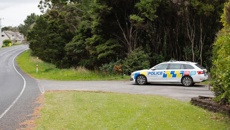 Police find 'significant' cannabis operation after Auckland firearm callout