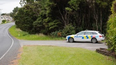 A police car at the top of a rural driveway on Paremoremo Rd, where a police operation is under way. Photo / Sylvie Whinray
