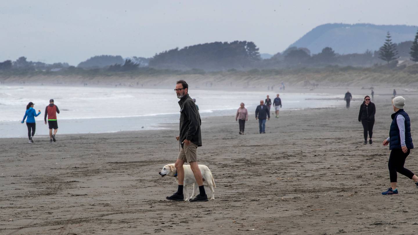 Waikanae Beach. Photo / Mark Mitchell