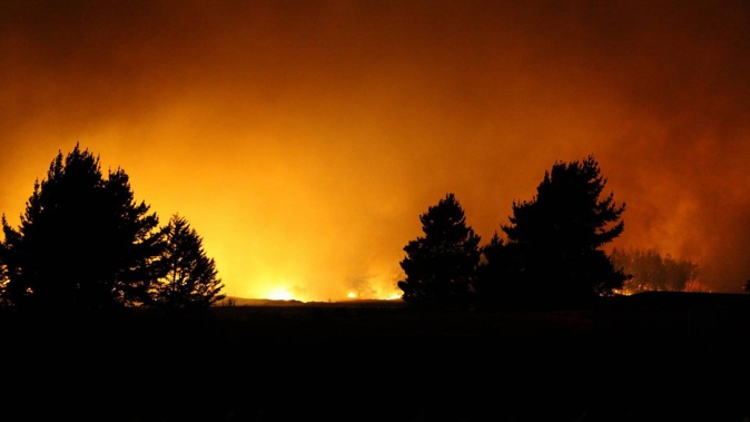 A large forest fire has been burning through pines and scrub on Old West Coast Rd in Kirwee, near the Waimakariri River. Photo / Cam Avery