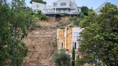 The Arney Rd home as viewed from Shore Rd in Remuera shortly after the January 2023 storms. Photo / Michael Craig