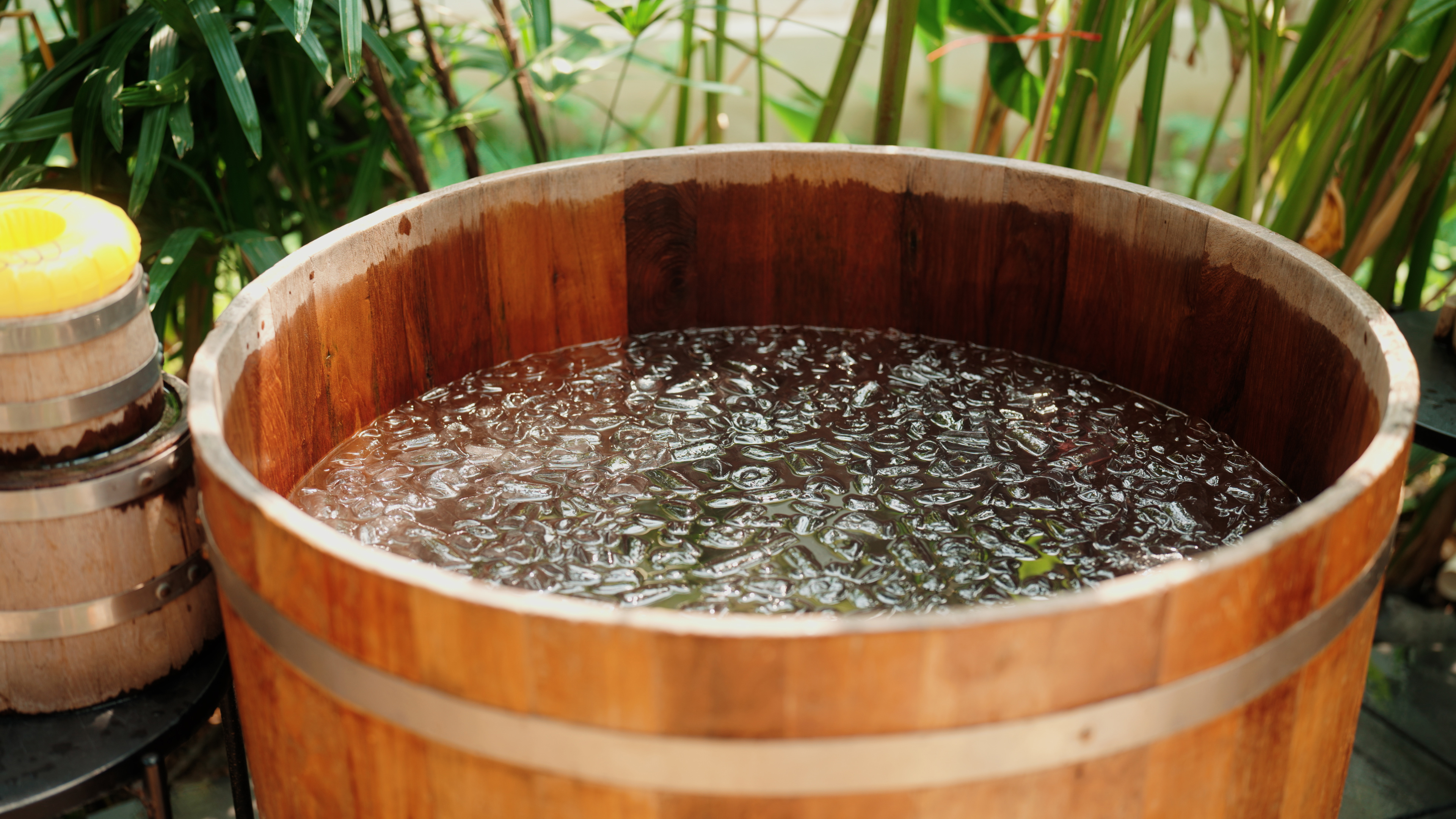 Erin O'Hara: naturopath and wellness expert explains the Viking wellness trend