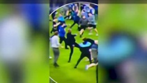 Watch: Palace manager Vieira appears to kick fan on Everton field