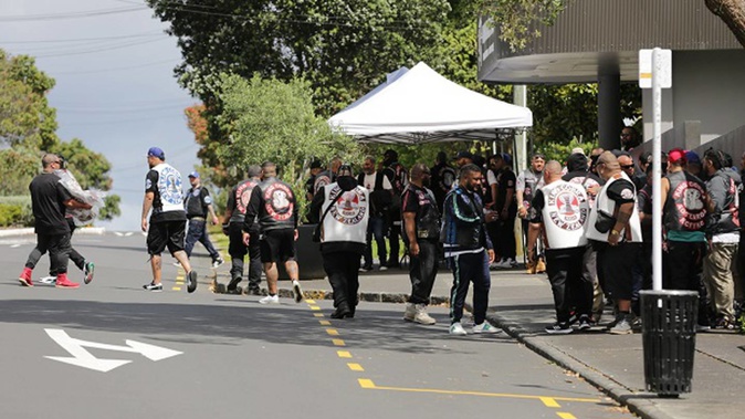 King Cobras meet in Mt Roskill. Photo / Sylvie Whinray