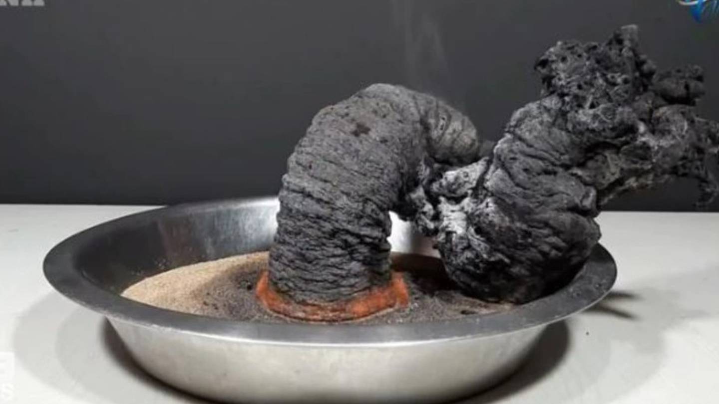 The "black worm" science experiment likely got out of control due to gusty winds. Photo / VisioNil/ Nine