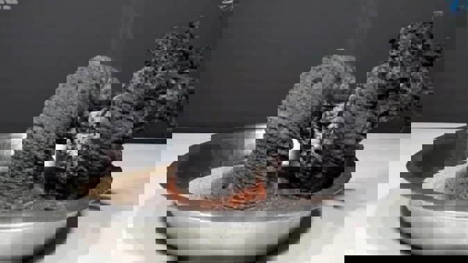 The "black worm" science experiment likely got out of control due to gusty winds. Photo / VisioNil/ Nine