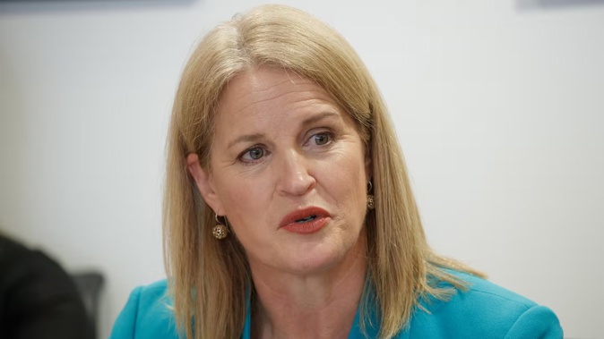 Social Development and Employment Minister Louise Upston. Photo / Mark Mitchell