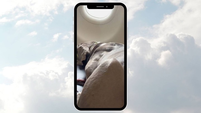 The passenger caught the attention of millions online, via a TikTok video. Photo / Unsplash, TikTok